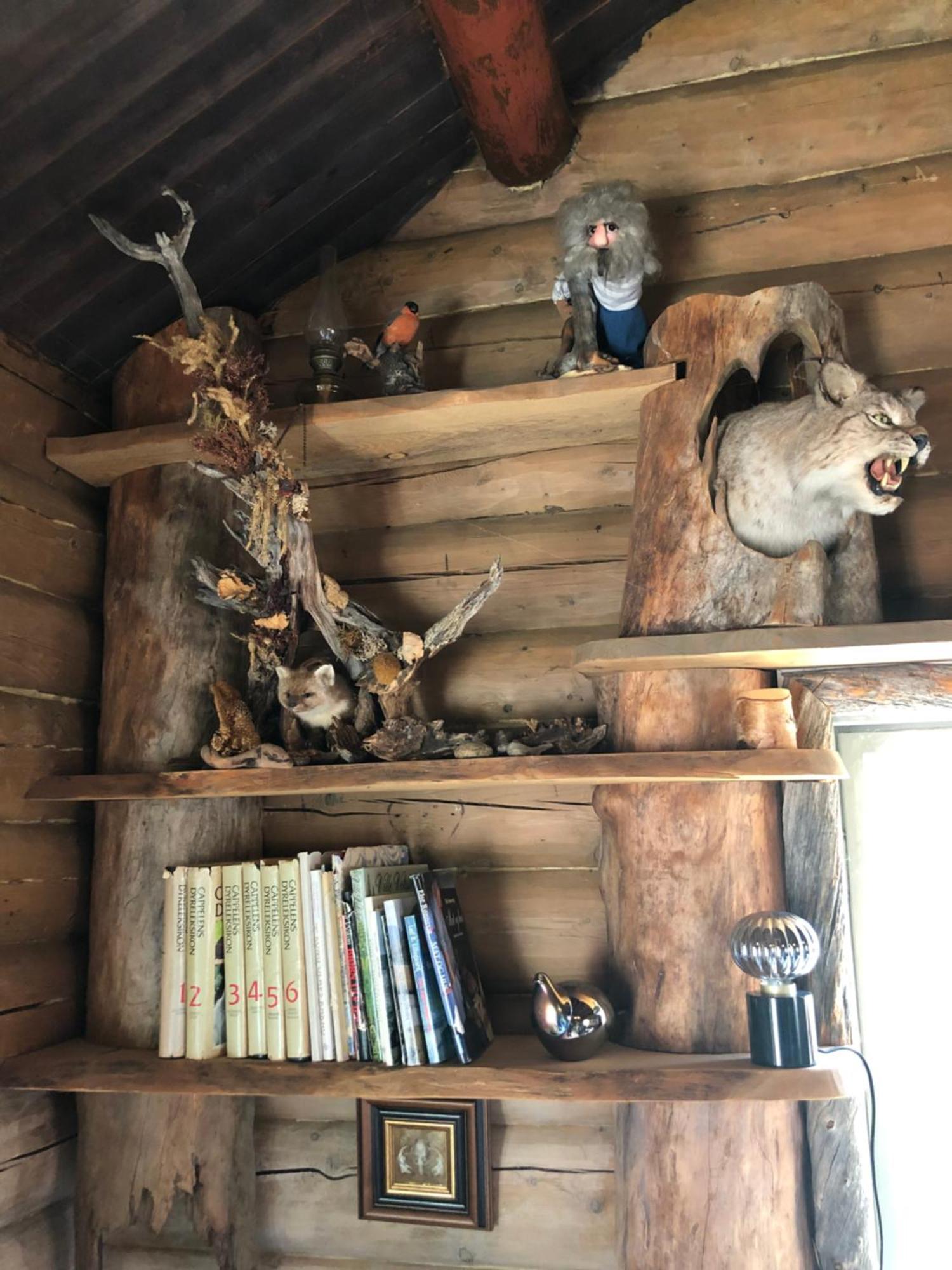 Pasvik Taiga 호텔 Skogfoss 외부 사진
