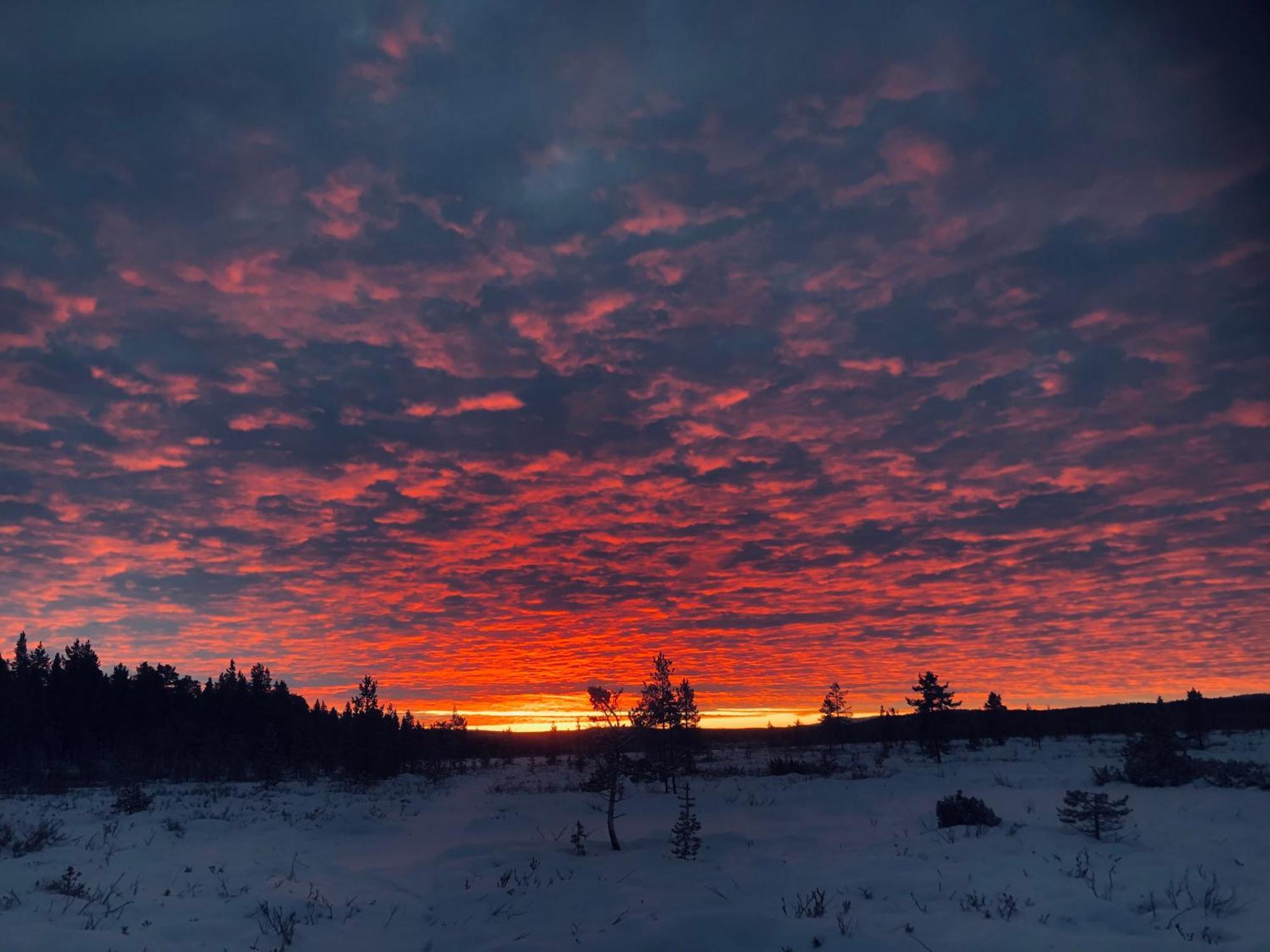 Pasvik Taiga 호텔 Skogfoss 외부 사진