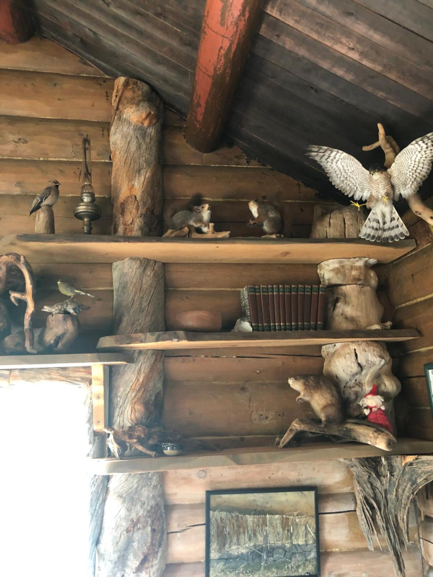 Pasvik Taiga 호텔 Skogfoss 외부 사진