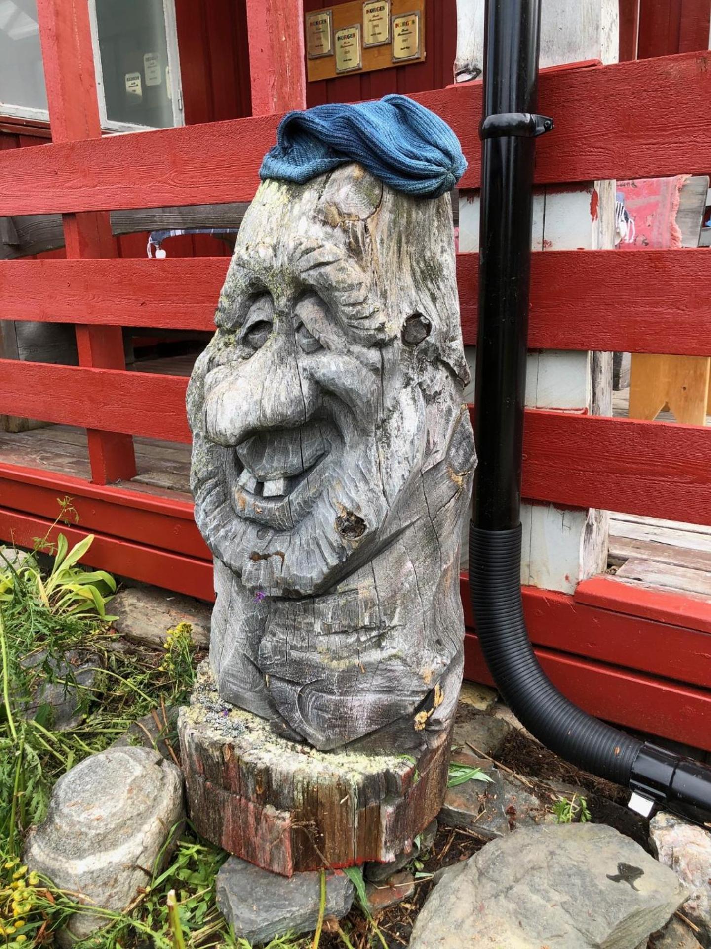 Pasvik Taiga 호텔 Skogfoss 외부 사진